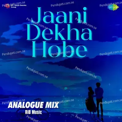 Jaani Dekha Hobe - Analogue Mix - Ri8 Music album cover 