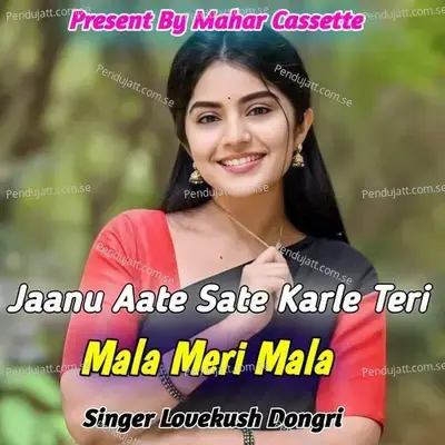Jaanu Aate Sate Karle Teri Mala Meri Mala - Lovekush Dungri album cover 