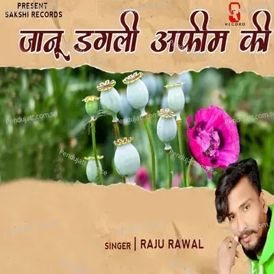 Jaanu Dagli Afim Ki - Raju Rawal album cover 