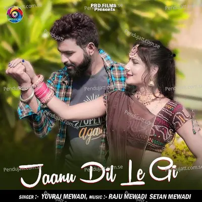 Jaanu Dil Le Gi - Yuvraj Mewadi album cover 