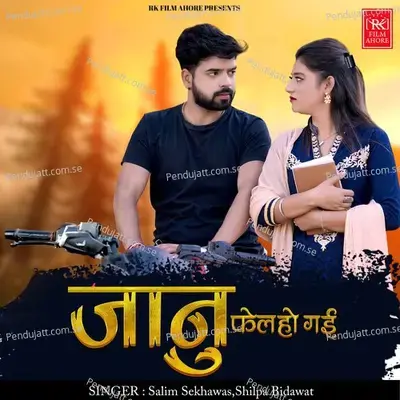 Jaanu Fail Hogayi - Salim Sekhawas Shilpa Bidawat album cover 