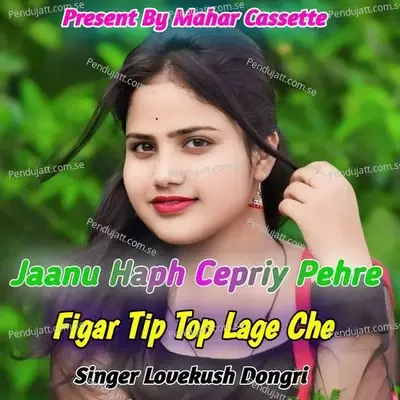 Jaanu Haph Cepriy Pehre Figar Tip Top Lage Che - Lovekush Dungri album cover 
