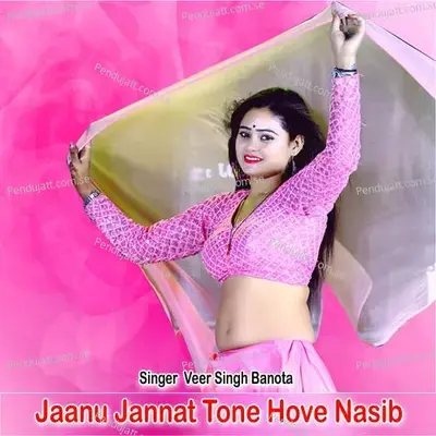Jaanu Jannat Tone Hove Nasib - Veer Singh banota