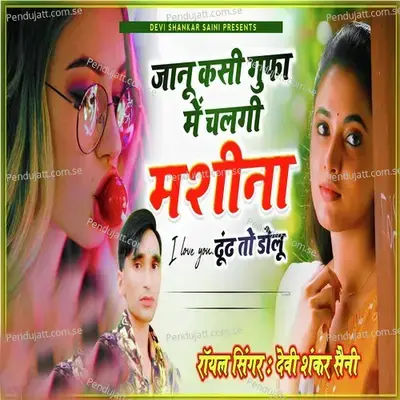 Jaanu Kese Chale Gi Gufa Mai Mhacine Jaanu - Devishankar saini album cover 