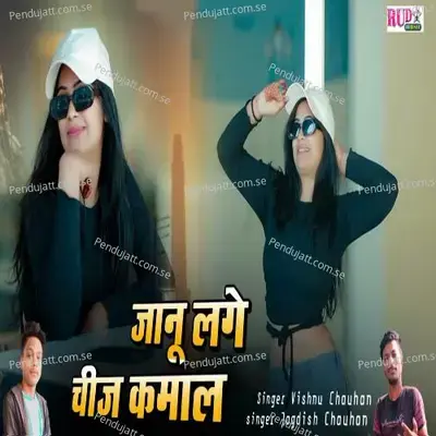 Jaanu Lage Chij Kamal - Vishnu Chauhan album cover 