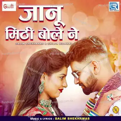 Jaanu Mithi Boleni - Salim Shekhawas album cover 