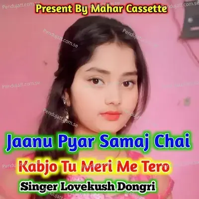 Jaanu Pyar Samaj Chai Kabjo Tu Meri Me Tero - Lovekush Dungri