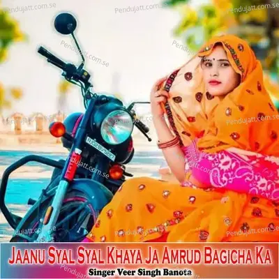 Jaanu Syal Syal Khaya Ja Amrud Bagicha Ka - Veer Singh banota album cover 