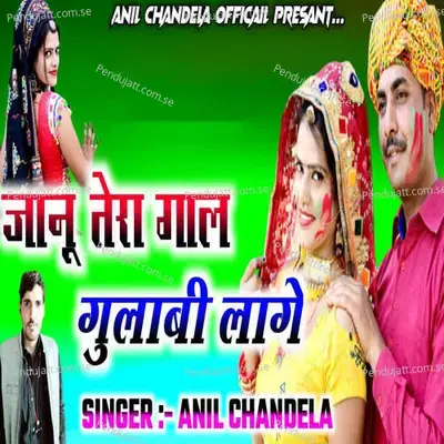 Jaanu Tere Gaal Gulabi Lage - Anil Chandala album cover 