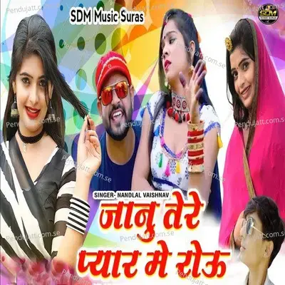 Jaanu Tere Pyar Me Rou - Nandlal Vaishnav album cover 