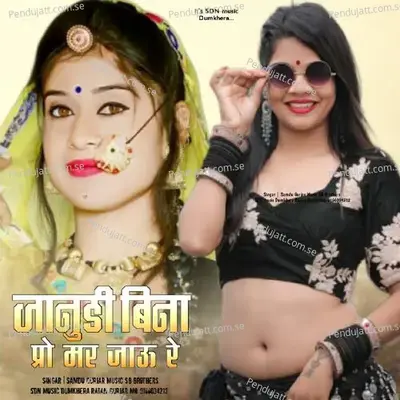 Jaanudi Bina Marjau - Samdu Gurjar