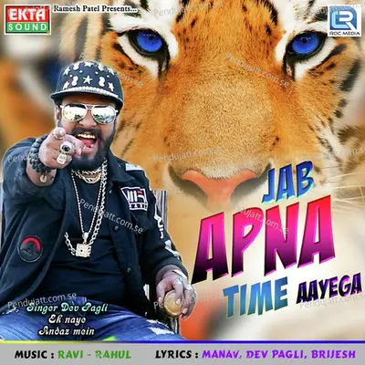 Jab Apna Time Aayega - Dev Pagli album cover 