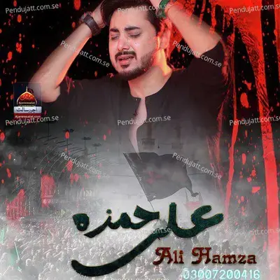 Asghar A s Teri Jawani Ka Arman - Ali Hamza album cover 