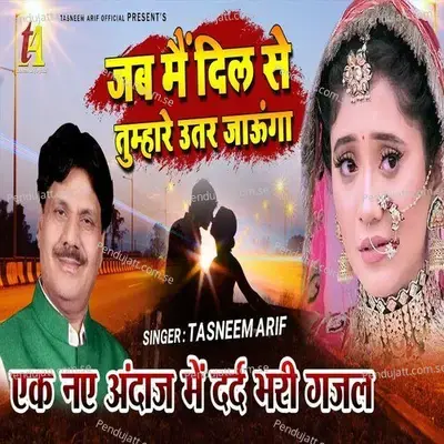 Jab Main Dil Se Tumhare Utar Jaunga - Tasneem Arif album cover 