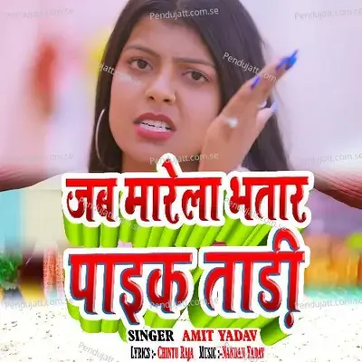Jab Marela Bhtar Pike Tadi - Amit Yadav album cover 