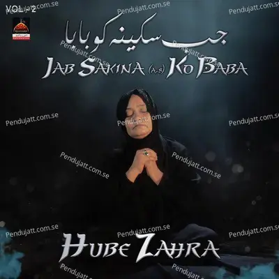 Akbar Jawani Mahrain Haan - Hube Zahra album cover 