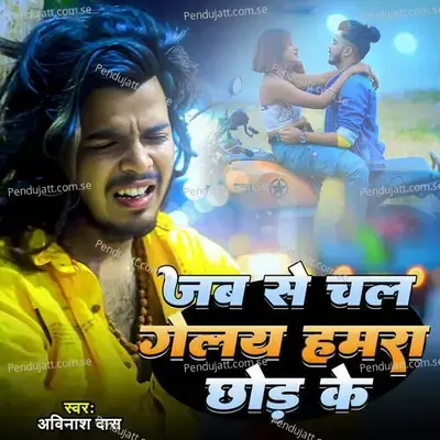 Jab Se Chal Gelay Hamra Chor Ke - Avinash Das album cover 