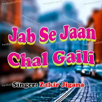 Jab Se Jaan Chal Gaili - Zakir Jigana album cover 