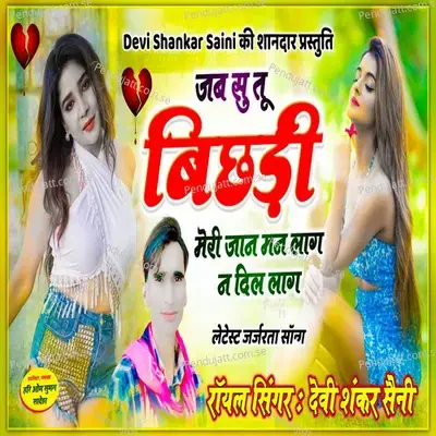 Jab Su Tu Bichdi Meri Jaani Man Laag Na Dil Laag - Devi Shankar Saini album cover 