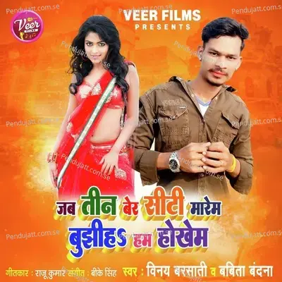 Jab Teen Ber Seeti Marem Bujhiha Hum Hokhem - Vinay Barsati album cover 