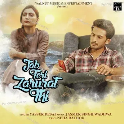 Jab Teri Zarurat Thi - Yasser Desai album cover 