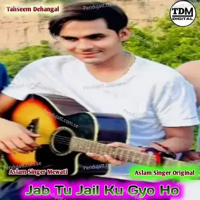 Jab Tu Jail Ku Gyo Ho - Tahseem Dehangal album cover 