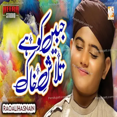 Jabeen Ko Hai Talash E Khaak - Rao Ali Hasnain album cover 