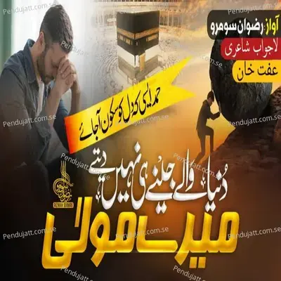 Jabeen Rakh Kar - Rizwan Soomro album cover 