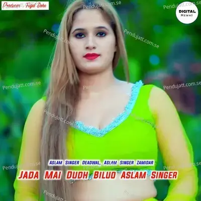 Jada Mai Dudh Biluo Aslam Singer - Aslam Singer Deadwal album cover 