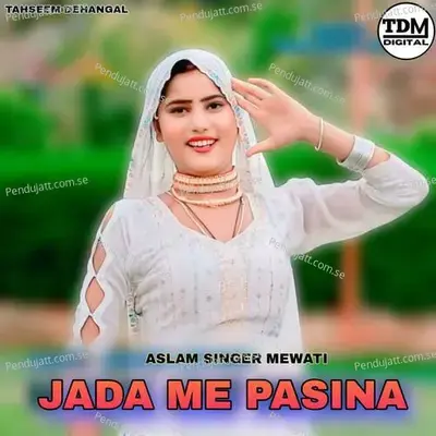 Jada Me Pasina - Aslam Singer Mewati album cover 