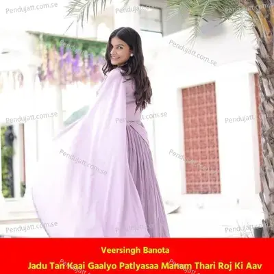 Jadu Tan Kaai Gaalyo Patlyasaa Manam Thari Roj Ki Aav - Veersingh Banota album cover 