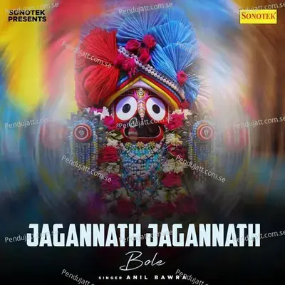 Jagannath Jagannath Bole - Anil Bawra album cover 