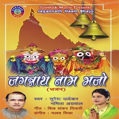 Jagannath Nam Bhajo - Namita Agrawal cover album