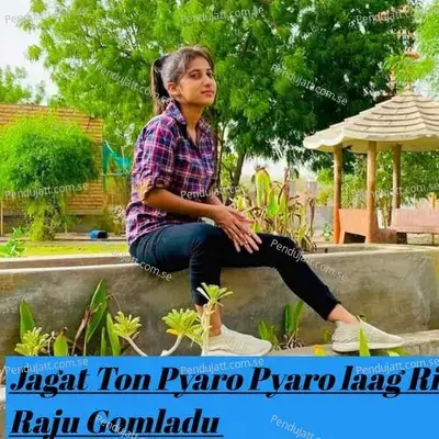 Jagat Ton Pyaro Pyaro Laag Ri - RAJU GOMLADU album cover 