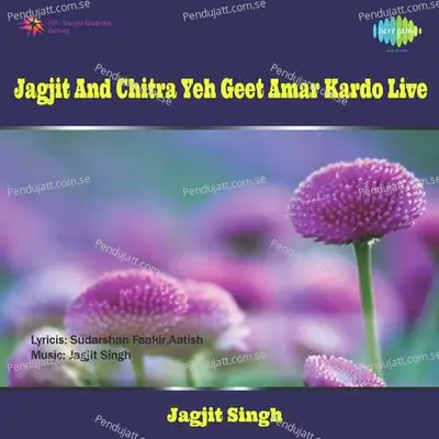 Ishq Mein Ghairat And Yaar Ko Maine Mujhe Yaar - Jagjit Singh album cover 