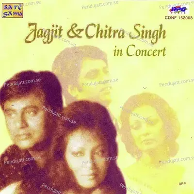 Meri Tanhaiyo Naghma - Jagjit Singh album cover 