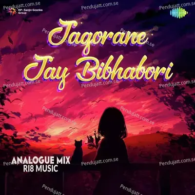 Jagorane Jay Bibhabori - Analogue Mix - Ri8 Music album cover 