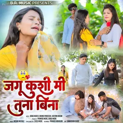 Jagu Kashi Mi Tuna Bina - Megha Musale album cover 