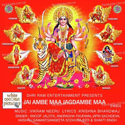 Maa Ki Goonje Jai Jaikar - Majees album cover 