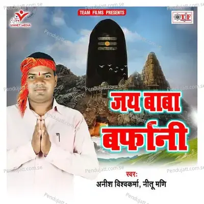 Bhangiya Me Kawan Maja - Anish Vishwakarma album cover 