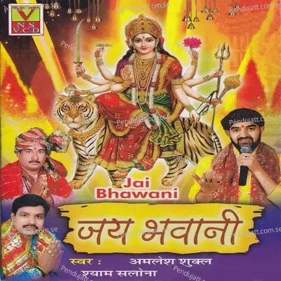 Kashi Darshan - Amlesh Shukl album cover 