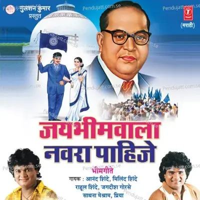Jai Bheemwala Navra Pahije - Anand Shinde cover album