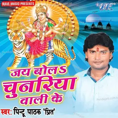 Mora Jaldi Se Ticket Kata Da - Pintu Pathak "Prit " album cover 