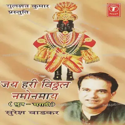 Jai Hari Vithal Namonamay - Shailendra Bhartti album cover 