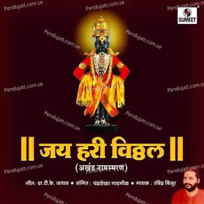 Jai Hari Vitthal - Ravindra Bijur album cover 