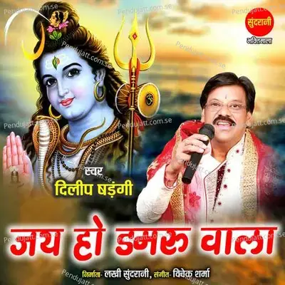 Jai Ho Damaru Wala - Dilip Shadangi album cover 