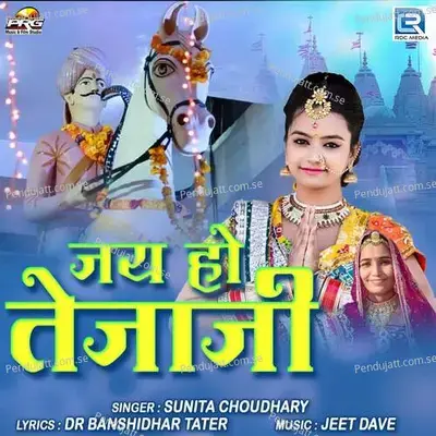 Jai Ho Tejaji - Sunita Choudhary album cover 