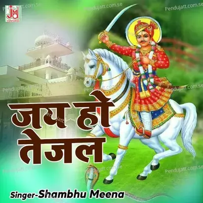 Jai Ho Tejal Thari - Shambhu Meena album cover 