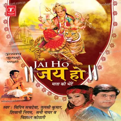 Jai Ho - Sani Nair album cover 