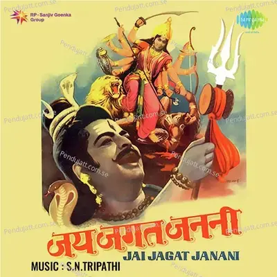 Jai Jagat Janani - S. N. Tripathi cover album